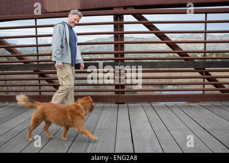 Caucasian man and dog walking on wooden bridge Stock Photo