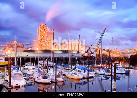 Yachts docked in harbor under illuminated city skyline, Seattle, Washington, United States Stock Photo