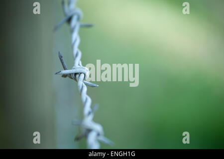 Closeup of a barbed wire with depth of field and grey, green background Stock Photo