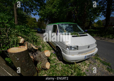 A cracked windscreen of a van caused by a tree falling on it during a storm in Bognor Regis, West Sussex, UK. Stock Photo