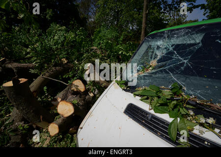 A cracked windscreen of a van caused by a tree falling on it during a storm in Bognor Regis, West Sussex, UK. Stock Photo