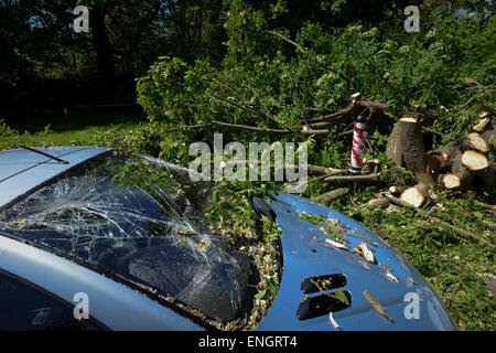 The cracked windscreen of a van caused by a tree falling on it during a storm in Bognor Regis, West Sussex, UK. Stock Photo