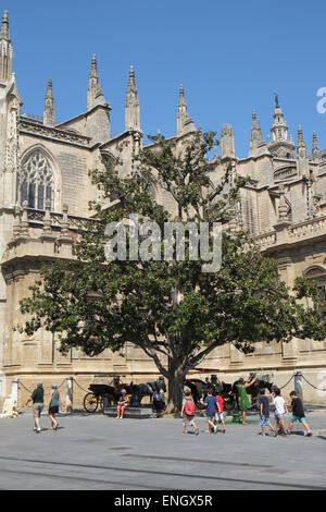 Seville's cathedral is a popular tourist attraction Stock Photo