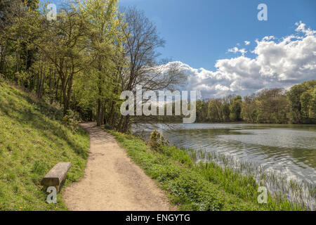 Panoramic view on the lake, in the magnificent park landscape, surrounding Blenheim Palace, Woodstock, Oxfordshire, England, UK. Stock Photo