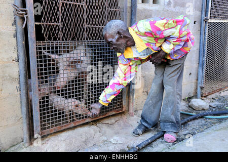 Farmer taking care of little piglets in the pigsty. Ibenga, Sambia, Africa Stock Photo