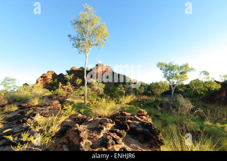 Hidden Valley, Mirima National Park, Kununurra, Western Australia Stock Photo