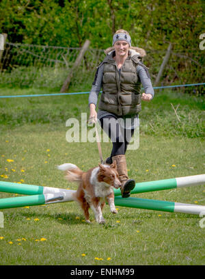 Dog Riders Club Dogs and their owners take part in an Alvechurch Riding Club Show in ...