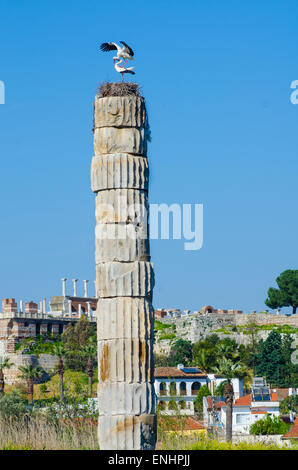 A pair of mating White Storks (Ciconia ciconia) nesting on top of a column at the Temple of Artemis, Ephesus, Turkey Stock Photo