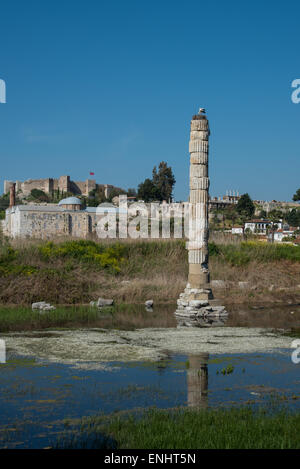 White Storks (Ciconia ciconia) nesting on top of a column at the Temple of Artemis, Ephesus, Turkey Stock Photo