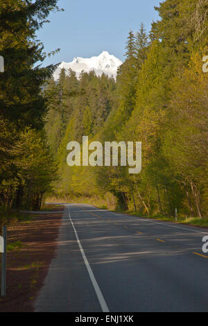 Traveling in central Oregon forests looking at a snow capped mountain. Stock Photo