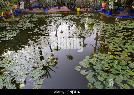 Yves Saint Laurent garden Morocco Marrakech Marrakesh Moroccan gardens Jardin Majorelle Stock Photo