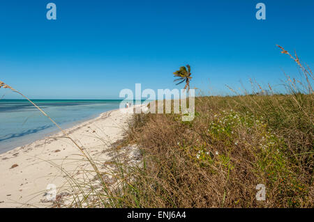 A remote Mangrove island. The Key West National Wildlife Refuge,  Lower Florida Keys. USA Stock Photo