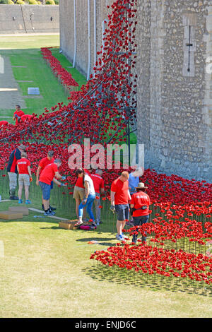 Poppy volunteers working in shade at historical Tower of London moat on very hot summer day assembling ceramic red poppies onto wire stems England UK Stock Photo