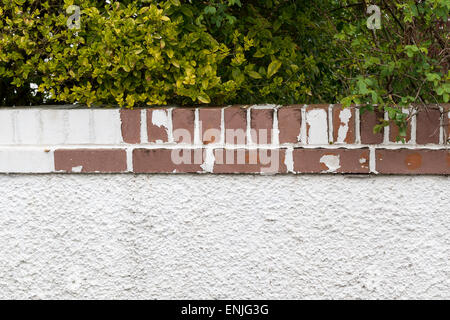 frost and weather damage to painted garden boundary wall - showing peeling paint and frost damage to bricks Stock Photo