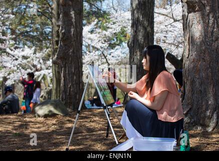 Toronto, Canada. 6th May, 2015. A girl draws a painting of cherry blossoms at the High Park in Toronto, Canada, May 6, 2015. © Zou Zheng/Xinhua/Alamy Live News Stock Photo