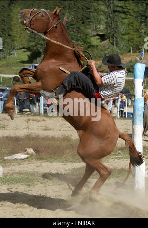 Gaucho riding bucking horse in country rodeo Tierra del Fuego Argentina Stock Photo