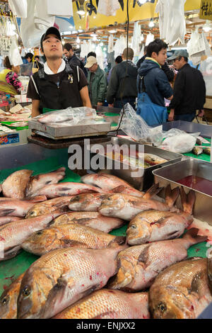 Tsukiji fish market, Chuo, Tokyo, Japan, Asia Stock Photo