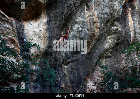 A climber scaling limestone cliffs in the jungle at Serra do Cipo, Minas Gerais, Brazil, South America Stock Photo