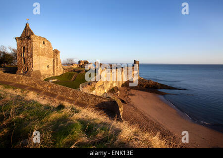 St. Andrews Castle and Castle Sands from The Scores at sunrise, Fife, Scotland, United Kingdom, Europe