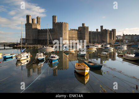 Caernarfon Castle,UNESCO World Heritage Site, on the River Seiont, Caernarfon, Snowdonia, Gwynedd, Wales, United Kingdom, Europe Stock Photo