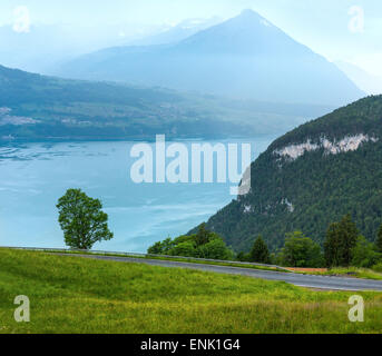 Lake Brienz or Brienzersee evening cloudy summer top view (Berne, Switzerland). Stock Photo