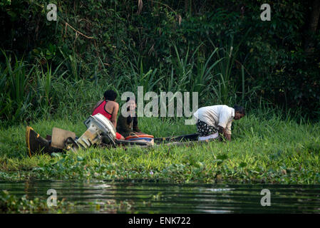 A local farmer and his helpers cutting grass with a scythe for his cattle on the banks of  the backwaters in Kerala State, India Stock Photo