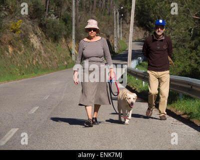 Older woman and man walking a yellow labrador retriever on a sunny day Stock Photo