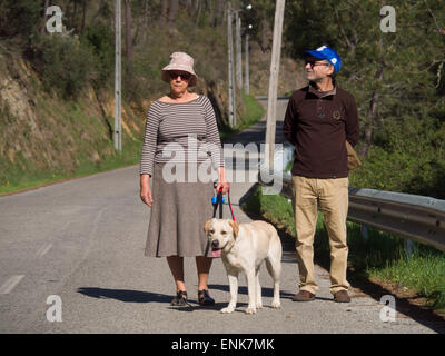 Older woman and man walking a yellow labrador retriever on a sunny day Stock Photo