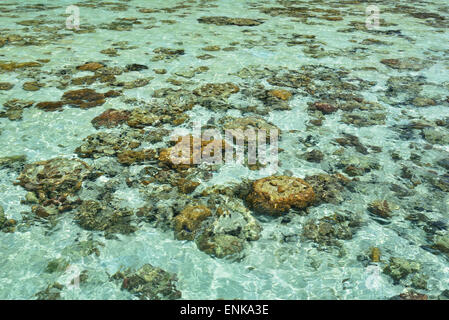 Crystal clear water of a tropical sea in Sabah Borneo, Malaysia. Stock Photo