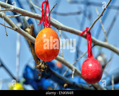 Easter eggs on the tree. Blue background Stock Photo