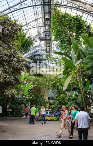 Tourists visiting botanic garden hall filled with tall tropical plants - May 2, 2015, Washington DC, USA Stock Photo