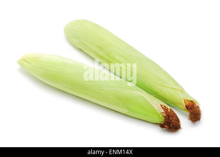 raw corn cobs on white Stock Photo
