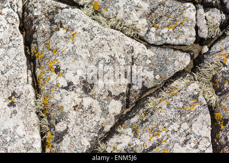 Patterns on rocks on a beach in Harris with Lichen growing on it Stock Photo