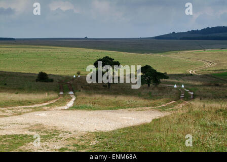 Salisbury Plain, Wiltshire, UK, used as a military training area by the British Army. Pictures show redundant Chieftan tanks used as targets and signs Stock Photo