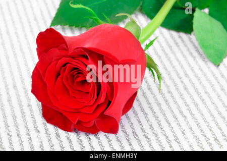 a red rose and a book, a tradition for Saint Georges Day in Catalonia, Spain Stock Photo