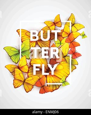 The modern poster with beautiful butterflies. Vector illustration EPS 10 Stock Vector