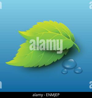 Vector illustration of green leaves and dew drops EPS10 Stock Vector