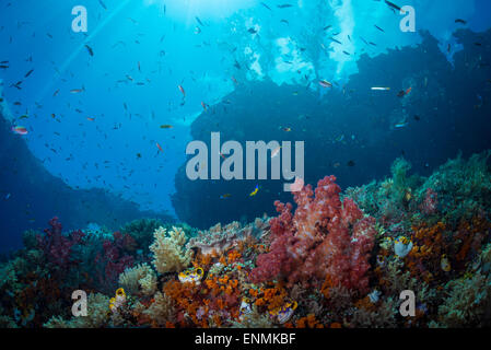 a shot of the coral reef in raja ampat showing both the surface and underwater scenery Stock Photo
