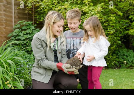 Mother showing two-years-old daughter and nine-year-old son a hedgehog, Erinaceus europaeus, in the garden. Sussex, UK. May. Stock Photo