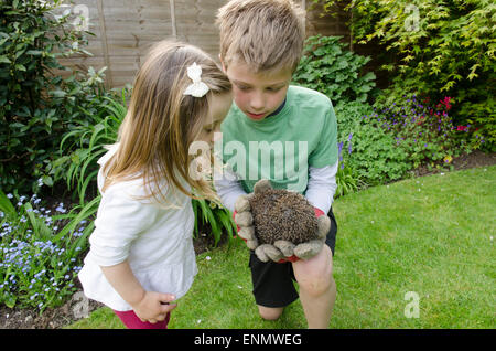 Nine year old boy  showing his two year old sister a hedgehog, Erinaceus europaeus, found in the garden. Sussex, UK. May. Stock Photo
