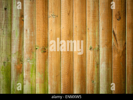 Closeup on a mossy wooden fence Stock Photo