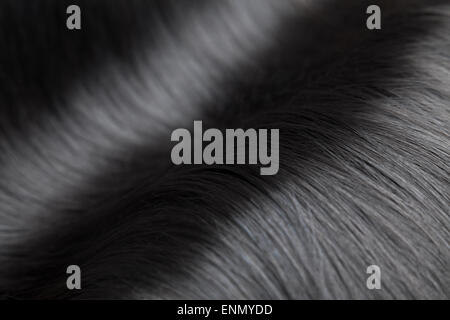 Closeup on black healthy straight hair Stock Photo