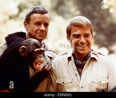 Daktari, USA 1966 - 1969, TV-Serie, Fernsehserie, Regie: Art Arthur, Ivan Tors, Darsteller: Marshall Thompson, Ross Hagen Stock Photo