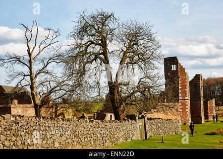 Large trees among the ruins of Bradgate House in Bradgate Park, Leicestershire, England, UK. Stock Photo