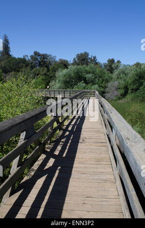 Wooden walkway over a lake in a park Stock Photo