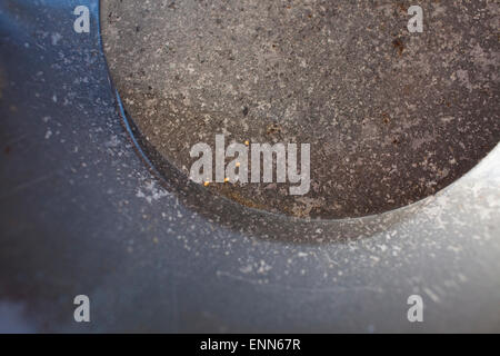 Four flakes of gold are left in the pan after panning for gold Stock Photo