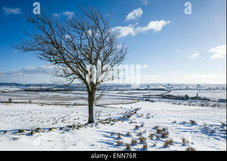 Winter scene near Twice Brewed Stock Photo