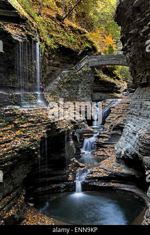 Watkins Glen State Park, NY Stock Photo - Alamy