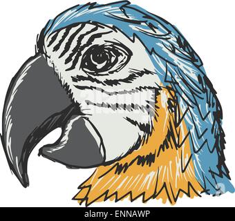 parrot Stock Vector