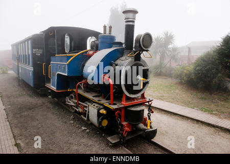 Baby Sivok, the oldest Toy Train Engine of the Dargeeling Himalayan Railway. DHR Ghoom Museum, Ghum, Darjeeling. Stock Photo